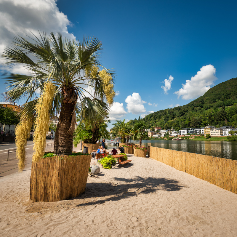 Heidelberg | Neckarstrand