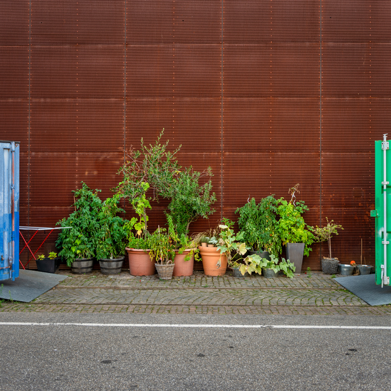 Mannheim | Hafenviertel